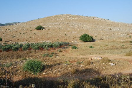 Possible site of biblical Cana, photo biblewalks.com